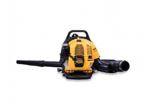 Воздуходувное устройство Champion GBR 333 - фото 2