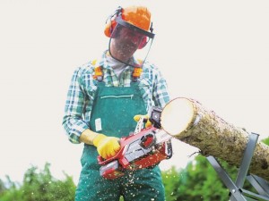 Пила цепная аккумуляторная, без АКБ и ЗУ Einhell PXC GE-LC 18/25 Li - фото 3